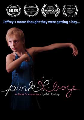 Pink Boy educational DVD cover